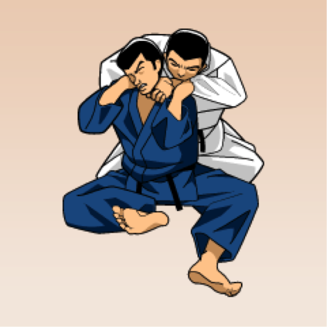 Physiology of Judo Choke  Forensic Medicine Section