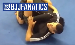 BJJ Fanatics